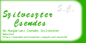 szilveszter csendes business card